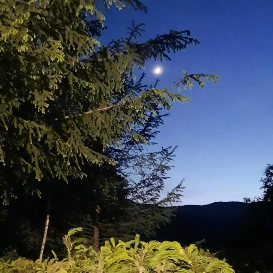 Kalmul Naturii, Iuresul Padurii Firiza Exterior photo